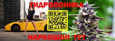 гидропоника Гусев