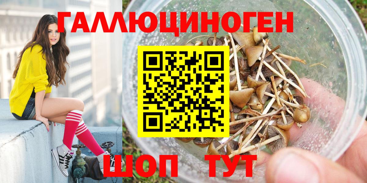 Псилоцибиновые грибы мицелий Лянтор