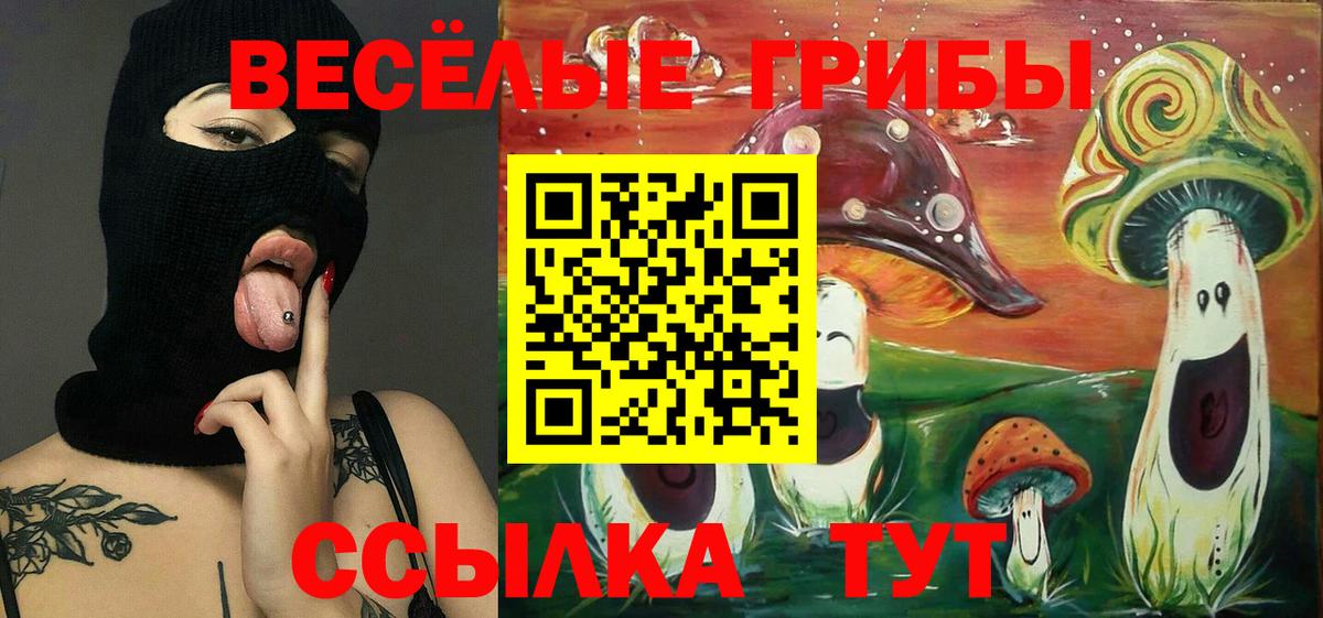 Галлюциногенные грибы прущие грибы  Вход с VPN  Лянтор 